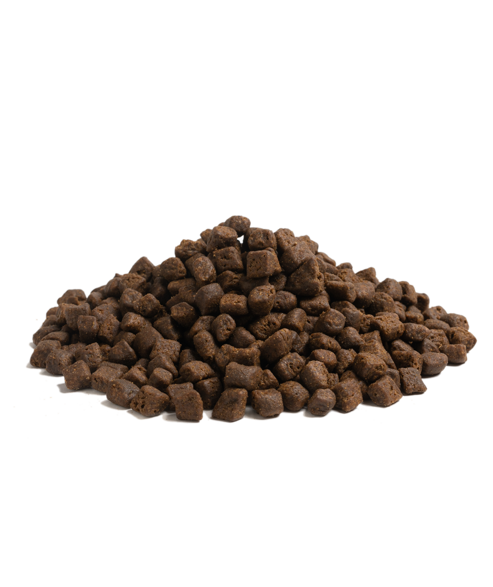 ESSENTIAL THE BEGINNING 10 kg