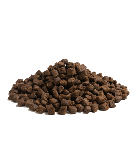 ESSENTIAL THE BEGINNING 10 kg