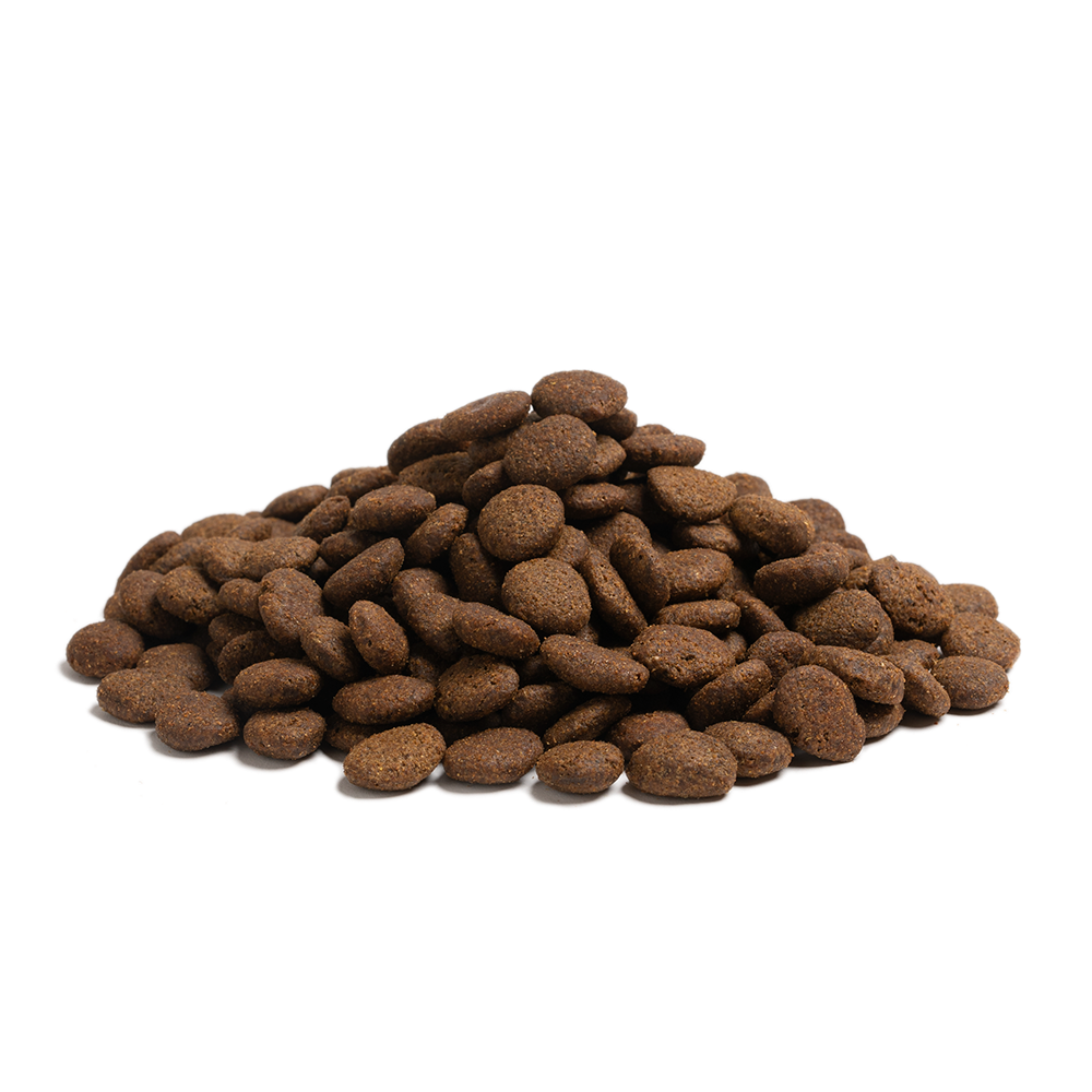 ESSENTIAL THE BEGGINING LARGE BREED 10 kg