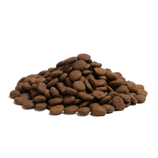 ESSENTIAL THE BEGGINING LARGE BREED 10 kg