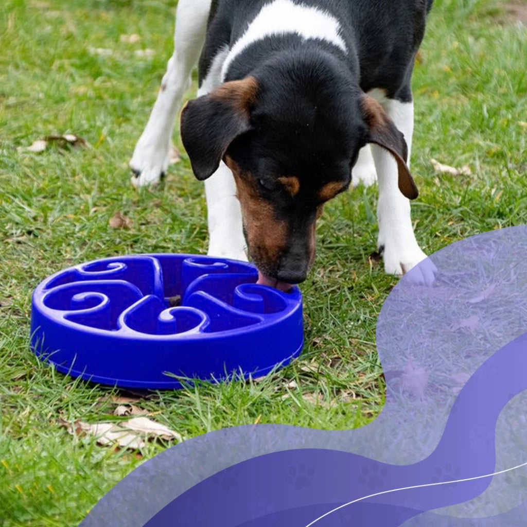 Slow feeder Live Longer Original albastru S