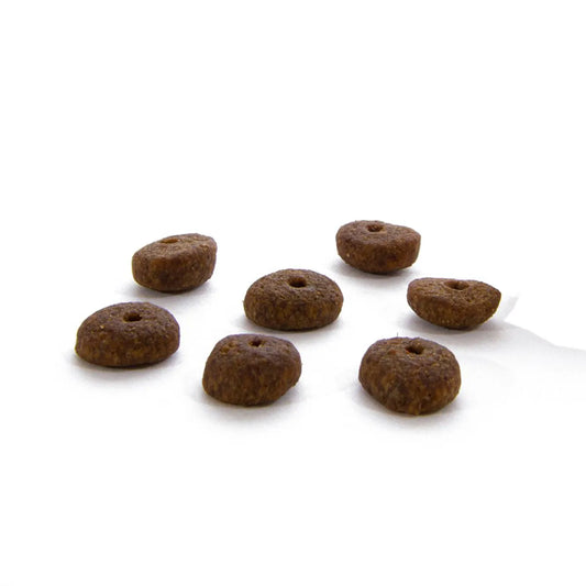 CANAGAN GRAIN FREE MIEL 2kg