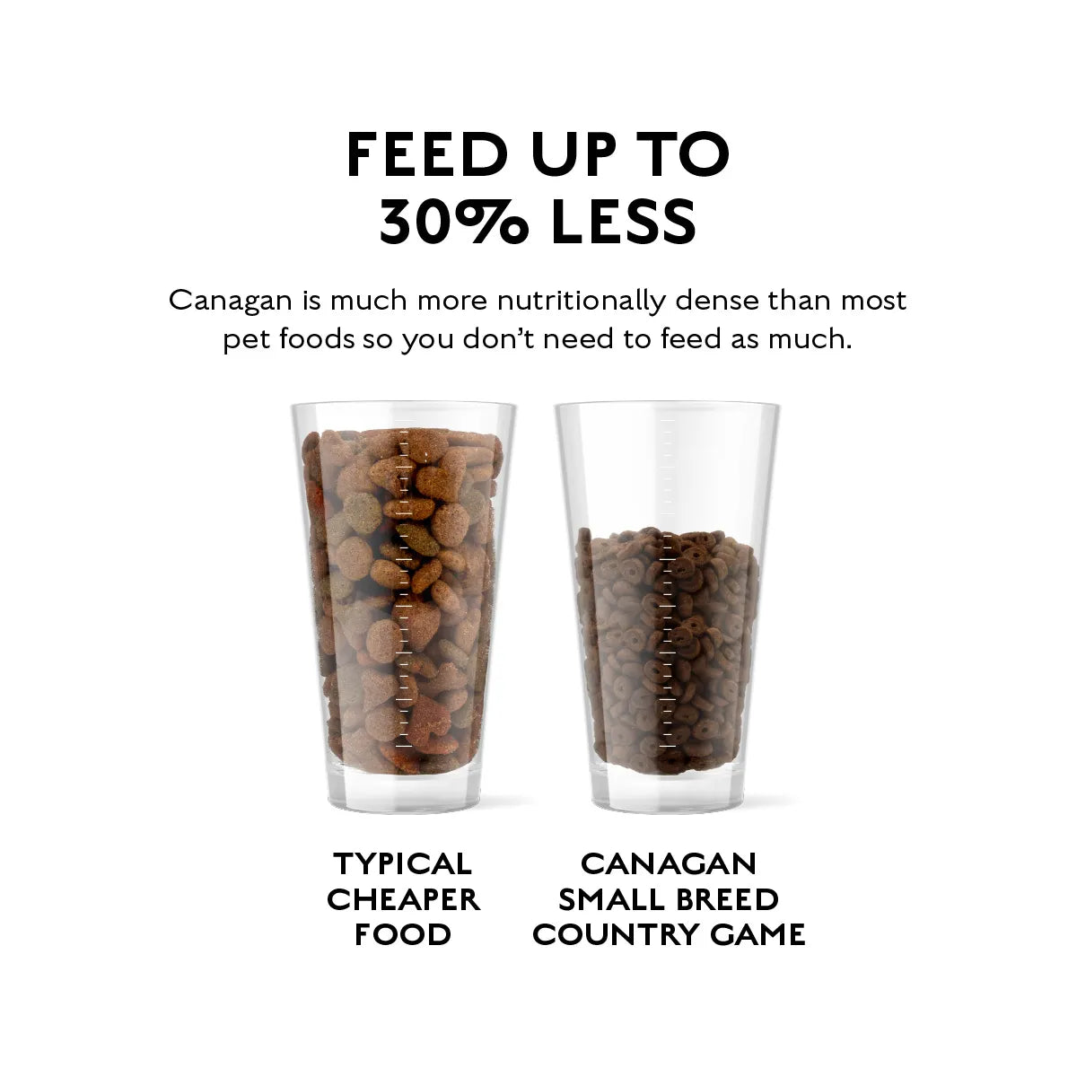 CANAGAN GRAIN FREE MIEL 2kg