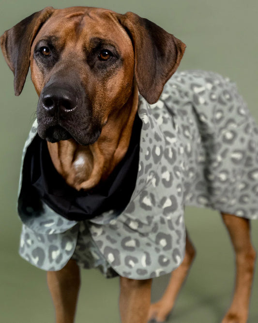 PAIKKA Haină de ploaie reflectorizantă Lite Green Leo