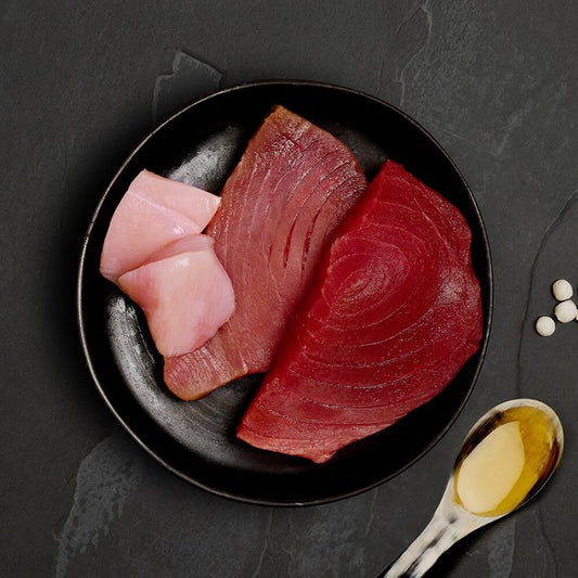 CANAGAN CAT CONSERVĂ TON CU PUI