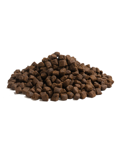 ESSENTIAL THE BEGINNING 10 kg