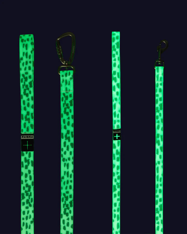 PAIKKA Lesă Glow 2.0