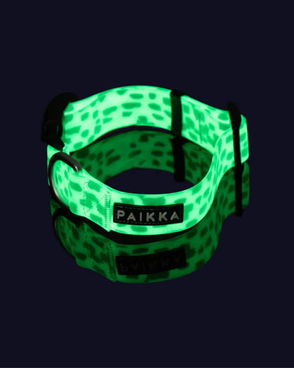 PAIKKA Zgardă Glow 2.0