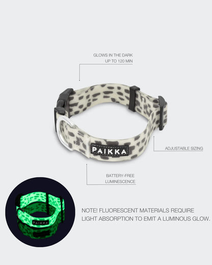 PAIKKA Zgardă Glow 2.0
