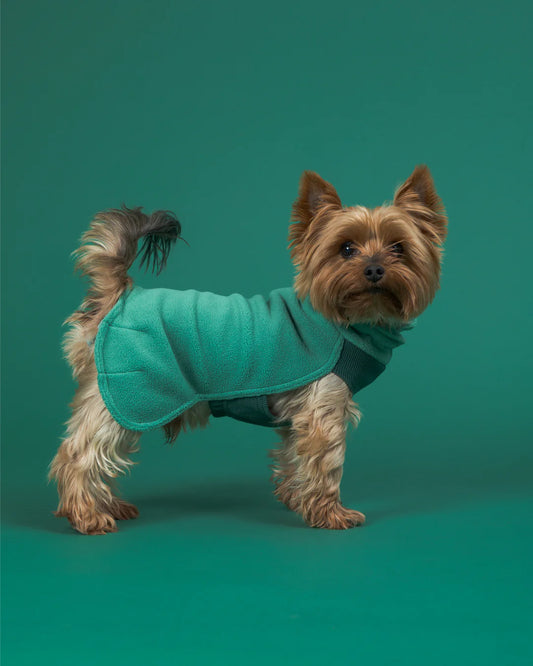 PAIKKA Haină din Seawool - verde