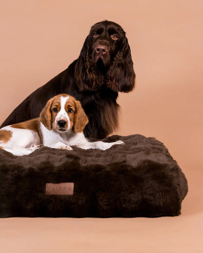 PAIKKA Pat Ortopedic Plușat