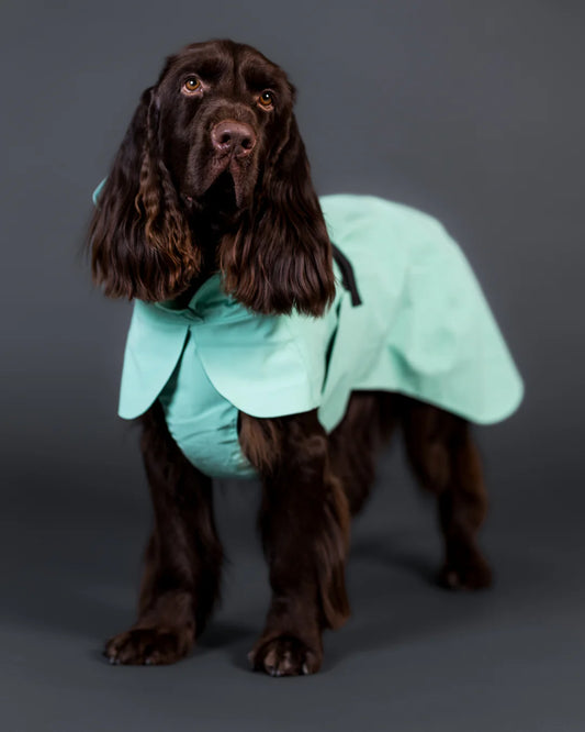 PAIKKA Haină de ploaie reflectorizantă Cabbage