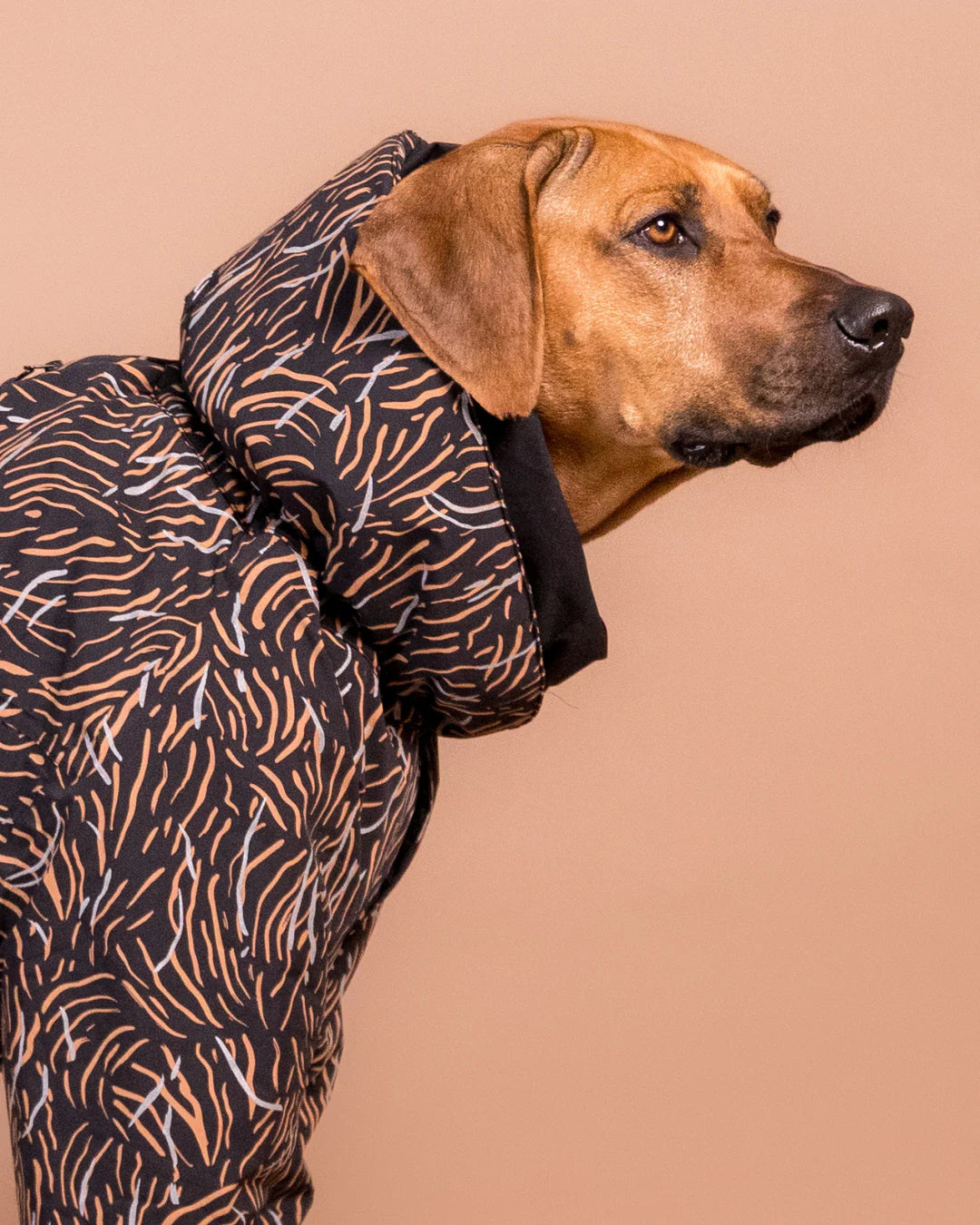 PAIKKA Costum de iarna Coal