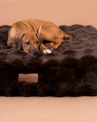 PAIKKA Pat Ortopedic Plușat