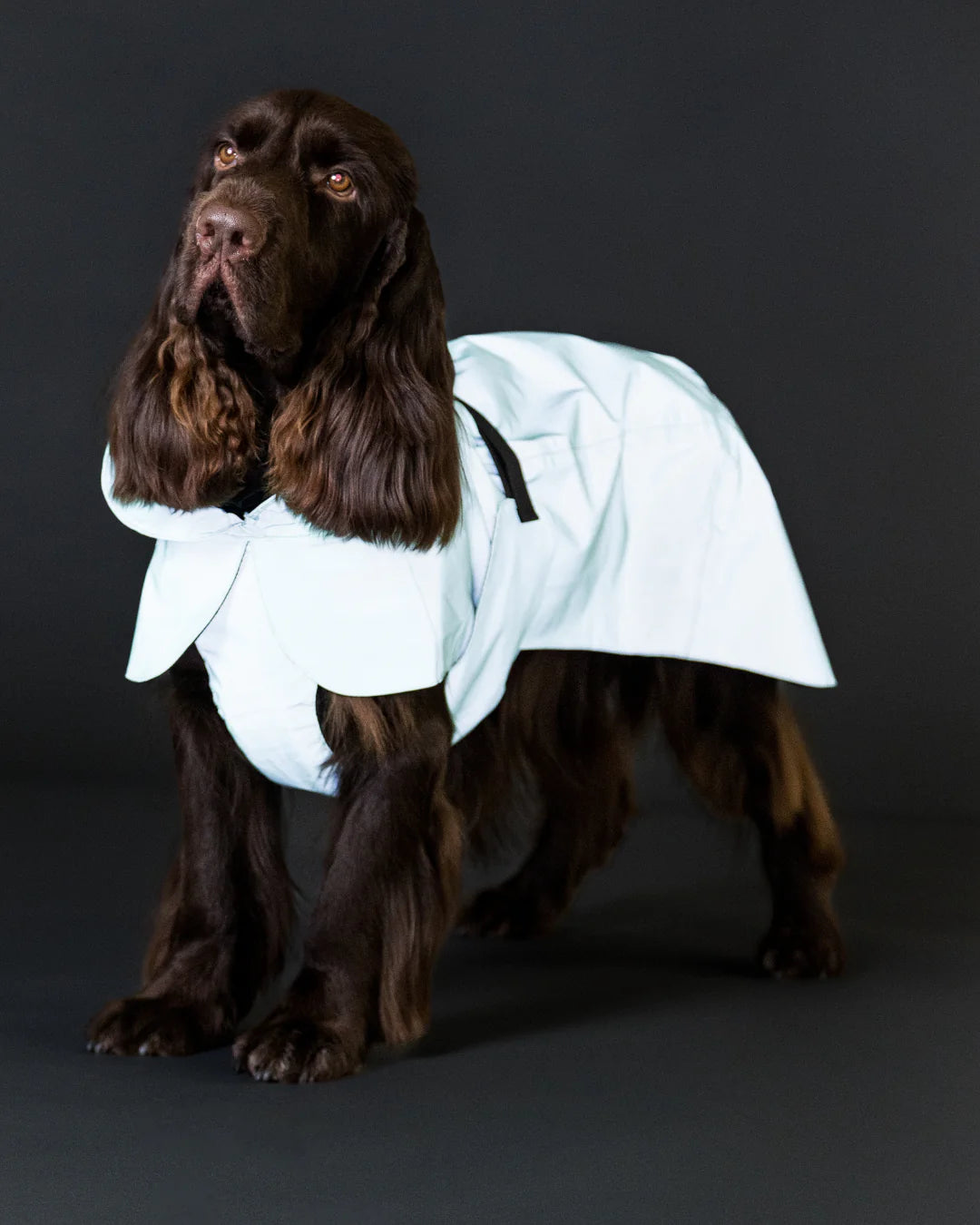 PAIKKA Haină de ploaie reflectorizantă Cabbage