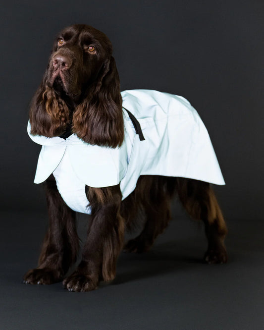 PAIKKA Haină de ploaie reflectorizantă Cabbage