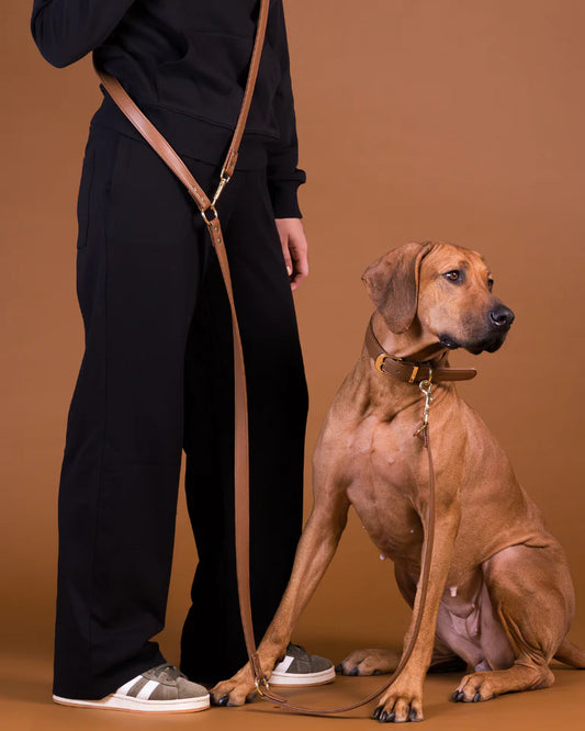 PAIKKA Lignify Multi-Leash Brown