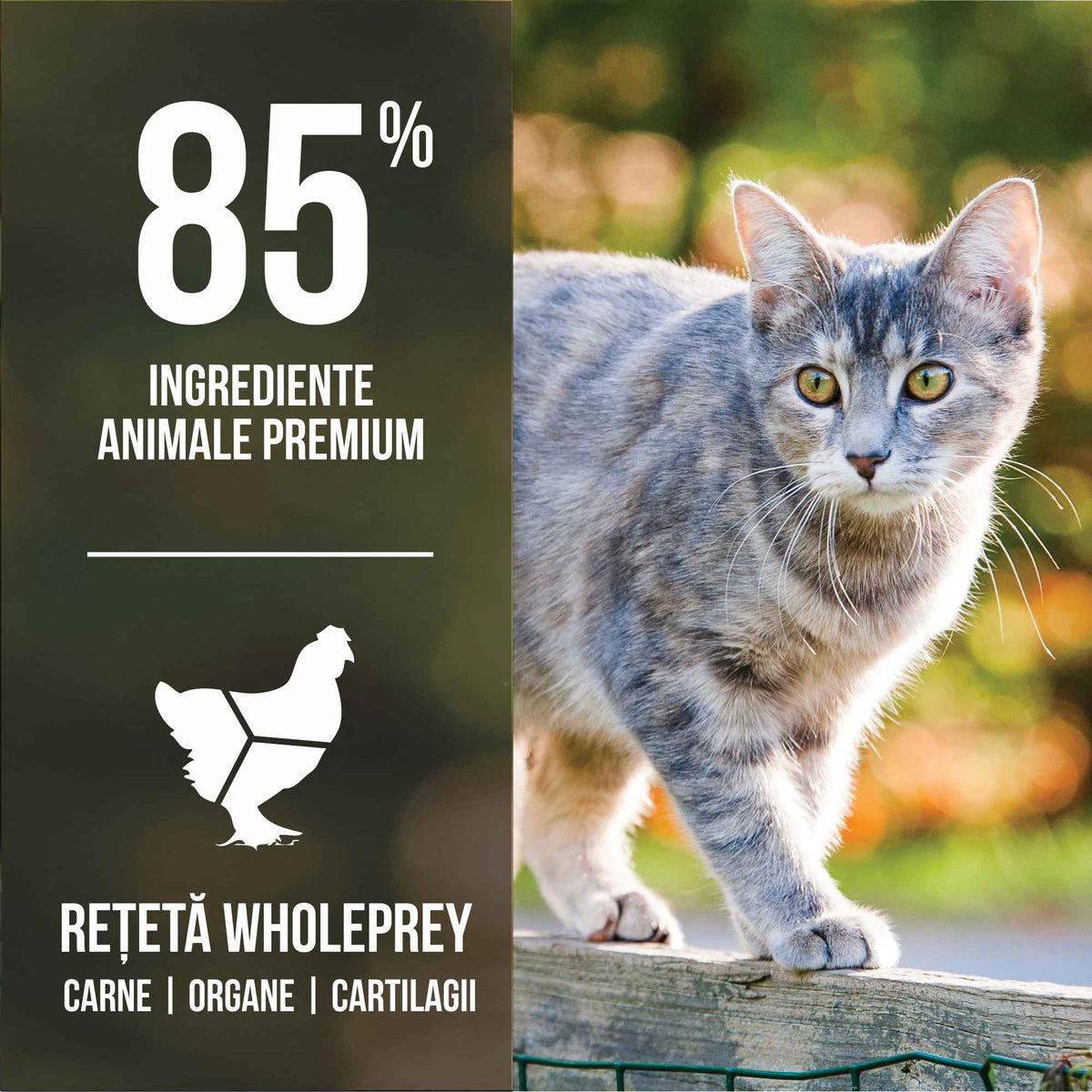 Orijen Original Cat 1.8 kg