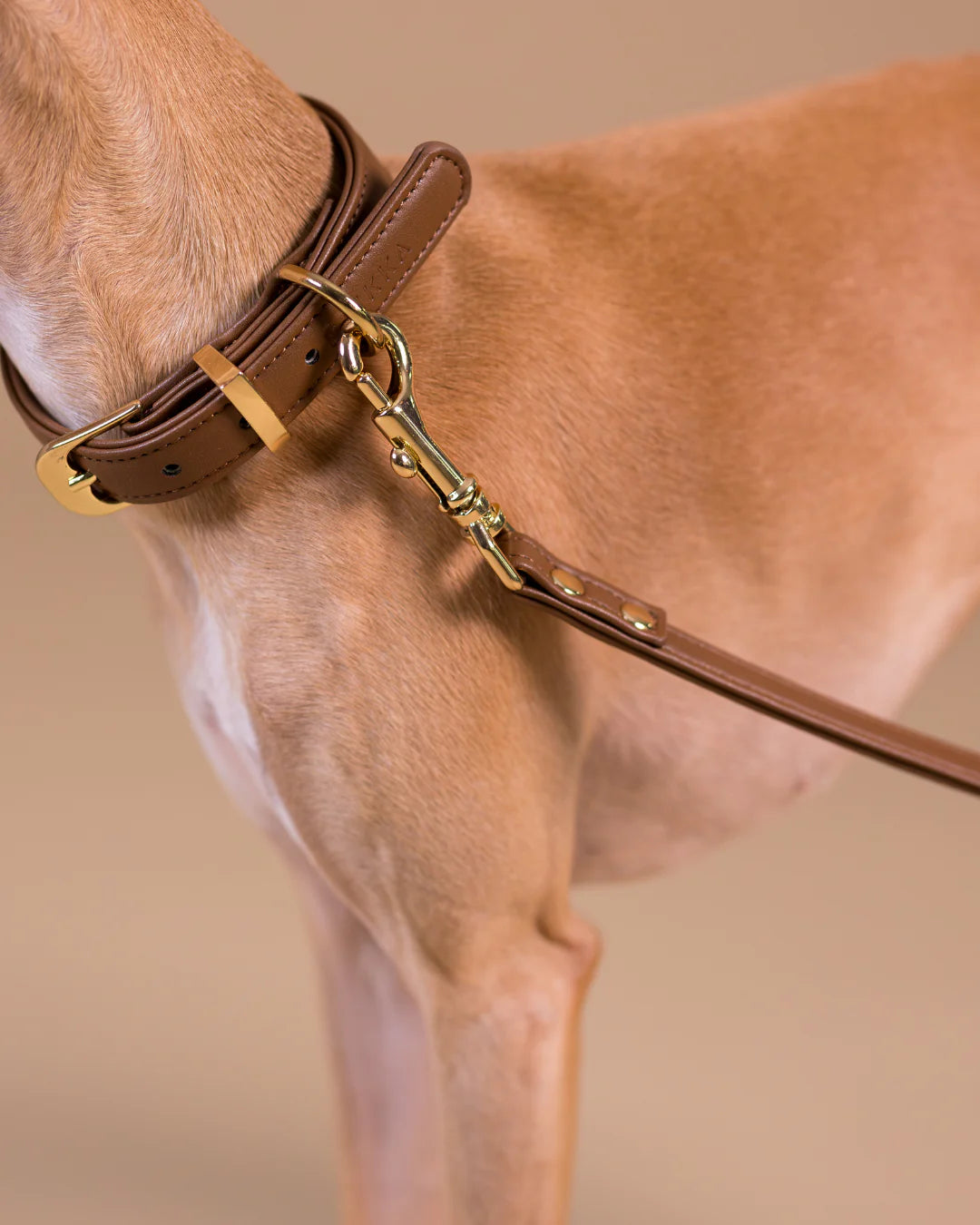 PAIKKA Zgardă Lignify Maro