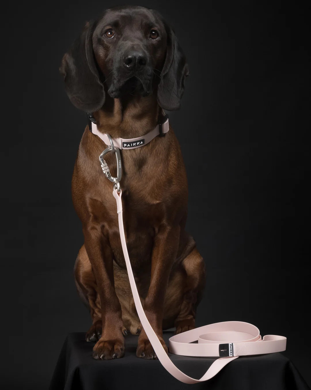 PAIKKA Lesă Glow Roz Pudrat