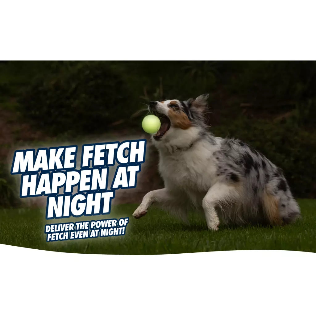 Chuckit! Max Glow Ultra Squeaker M