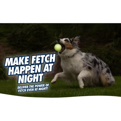 Chuckit! Max Glow Ultra Squeaker M