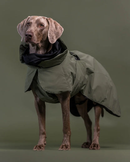 PAIKKA Geacă de iarnă reflectorizantă