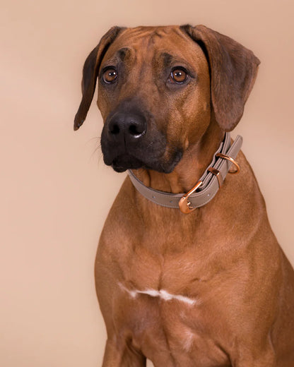 PAIKKA Zgardă Lignify Taupe