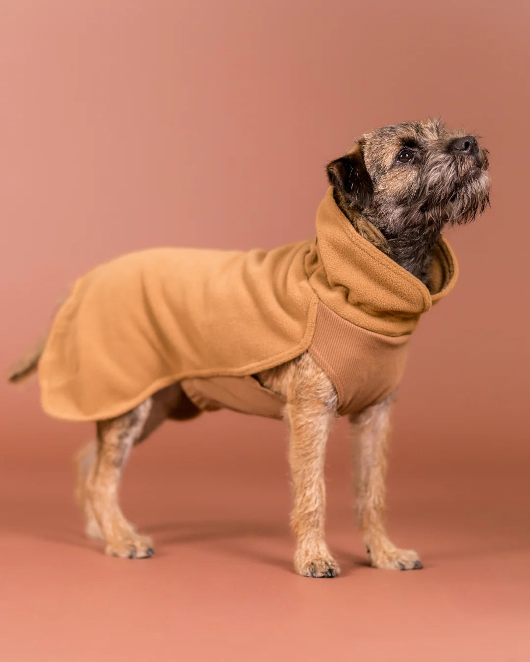 PAIKKA Haină din Seawool - Brown