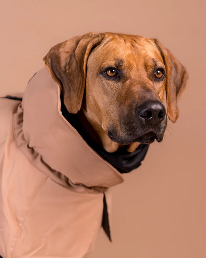 PAIKKA Geacă de iarnă reflectorizantă