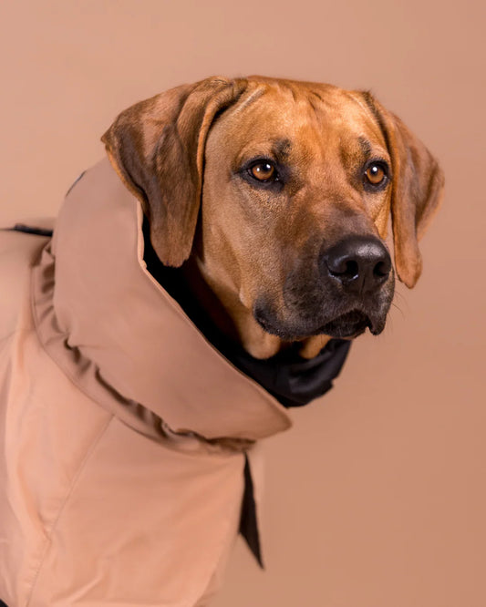 PAIKKA Geacă de iarnă reflectorizantă