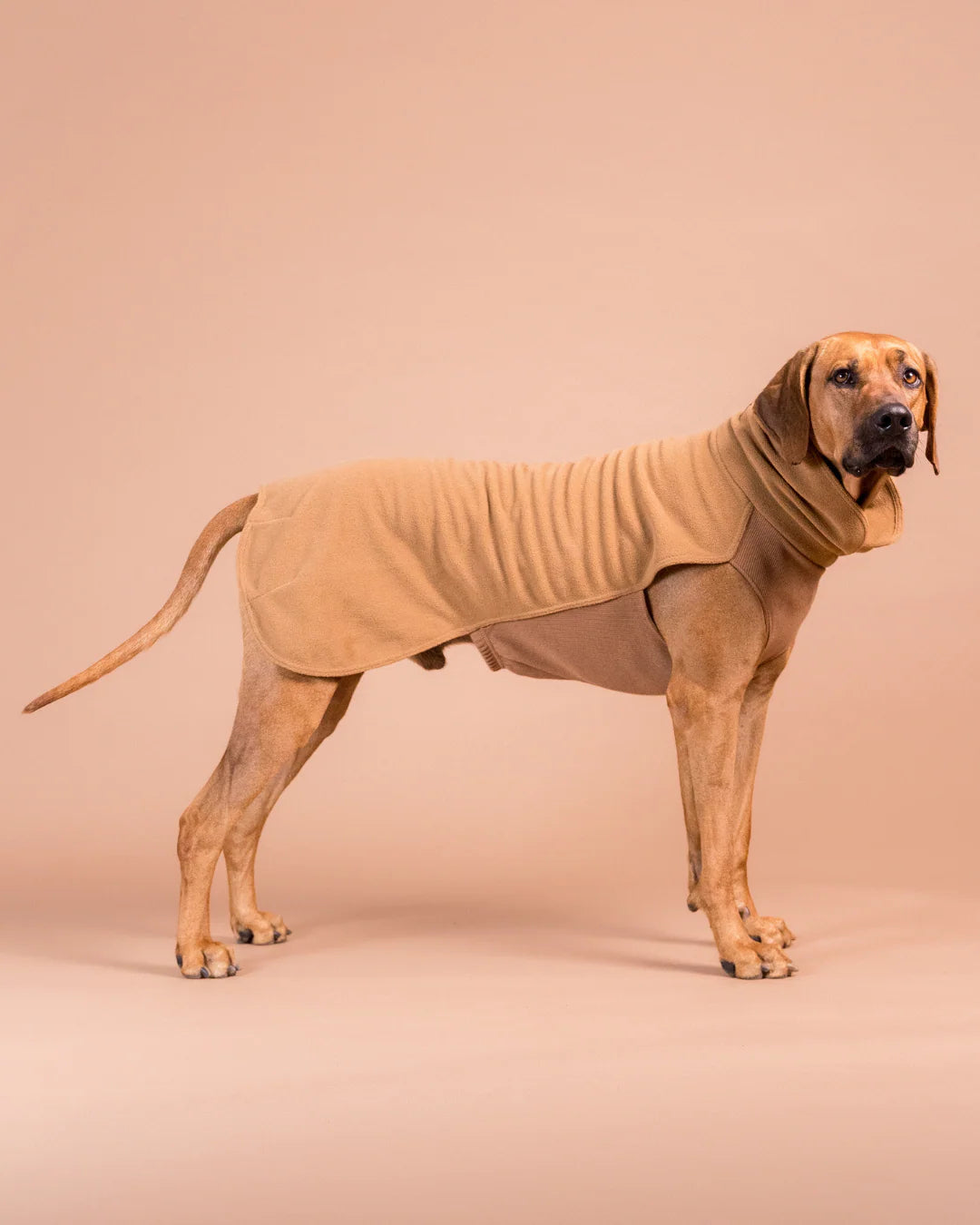 PAIKKA Haină din Seawool - Brown