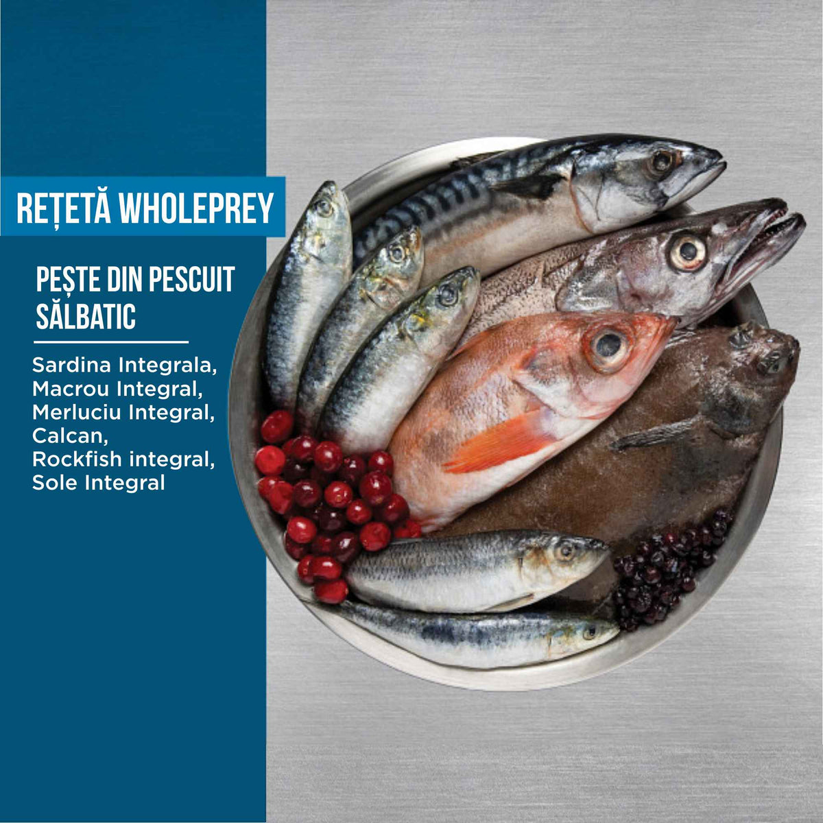 Orijen 6 Fish 11,4 kg