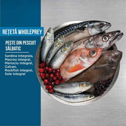 Orijen 6 Fish 11,4 kg
