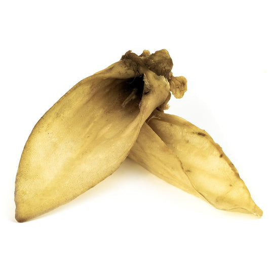 SANADOG Urechi de miel